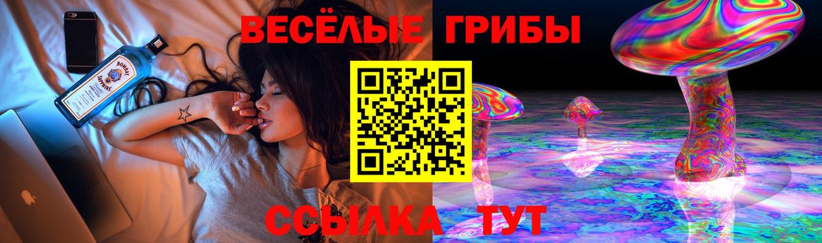 Псилоцибиновые грибы MAGIC MUSHROOMS  Вход с VPN  Якутск  Псилоцибиновые грибы прущие грибы 